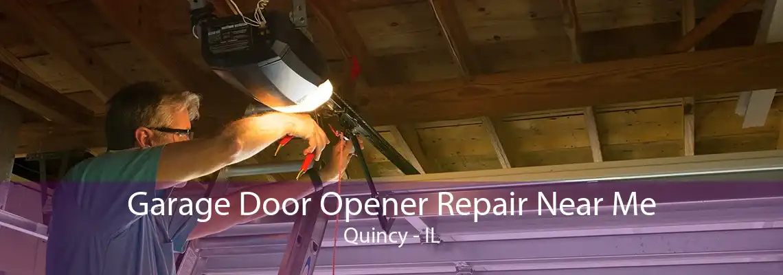 Garage Door Opener Repair Near Me Quincy - IL